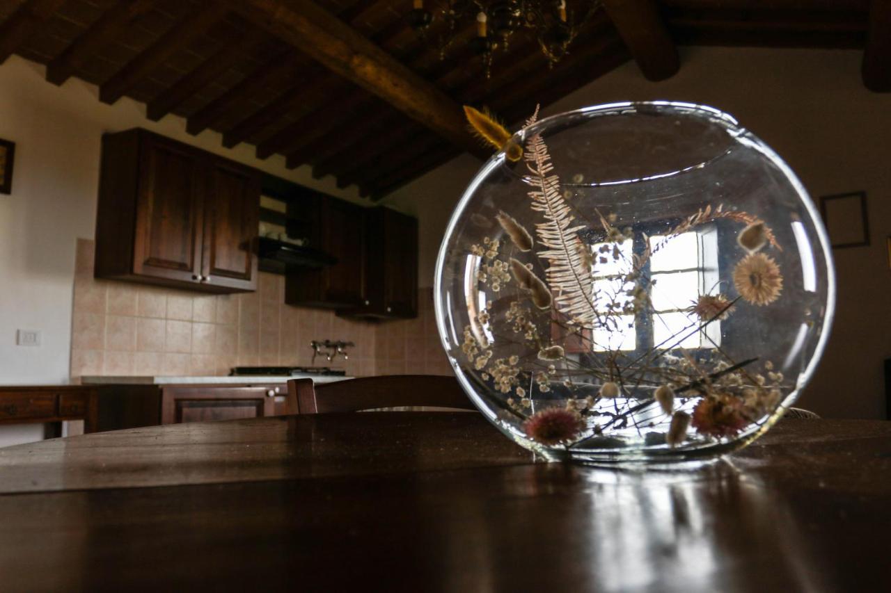 Agriturismo Bombina Montisi Bagian luar foto