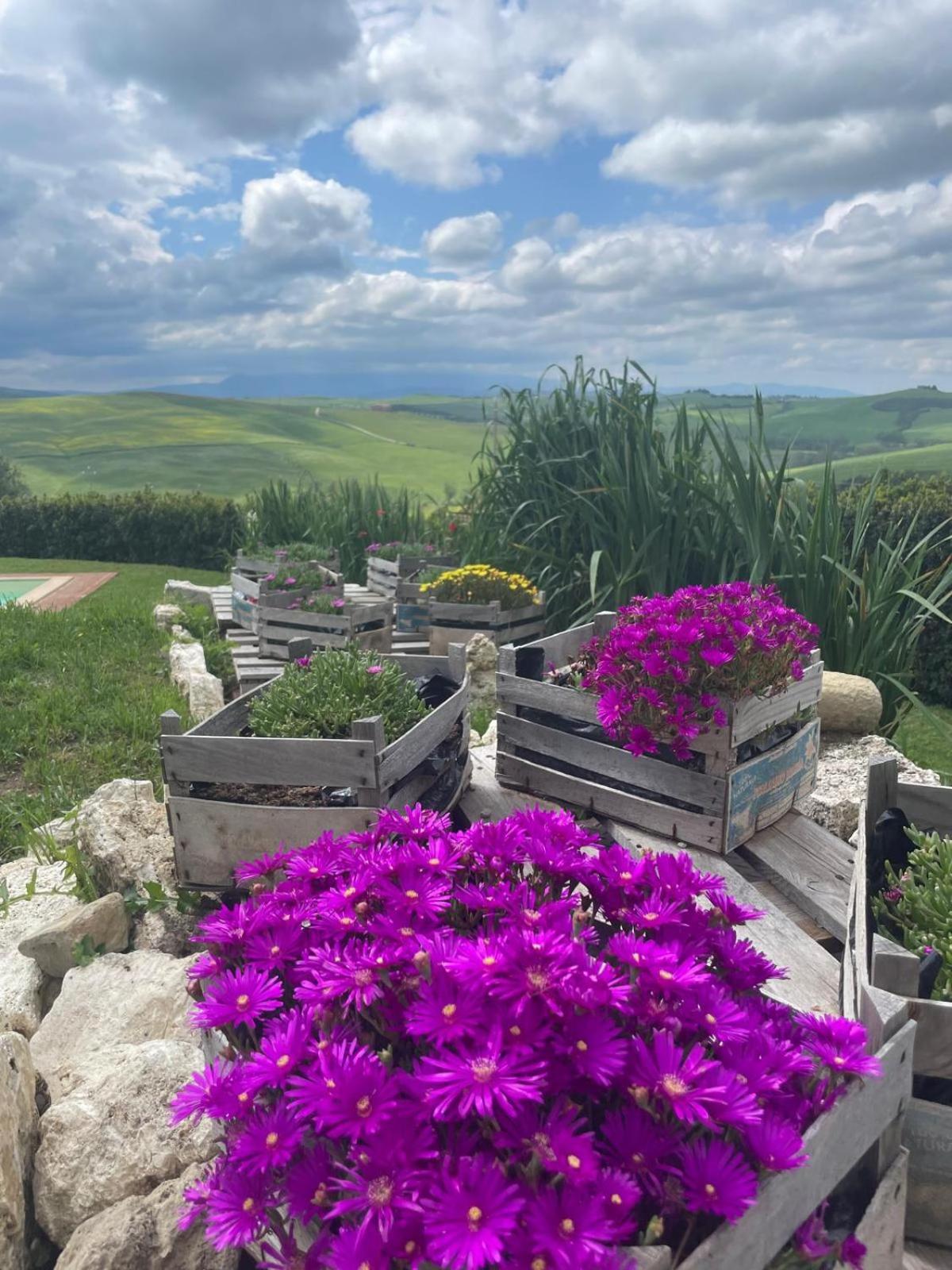 Agriturismo Bombina Villa Montisi Bagian luar foto